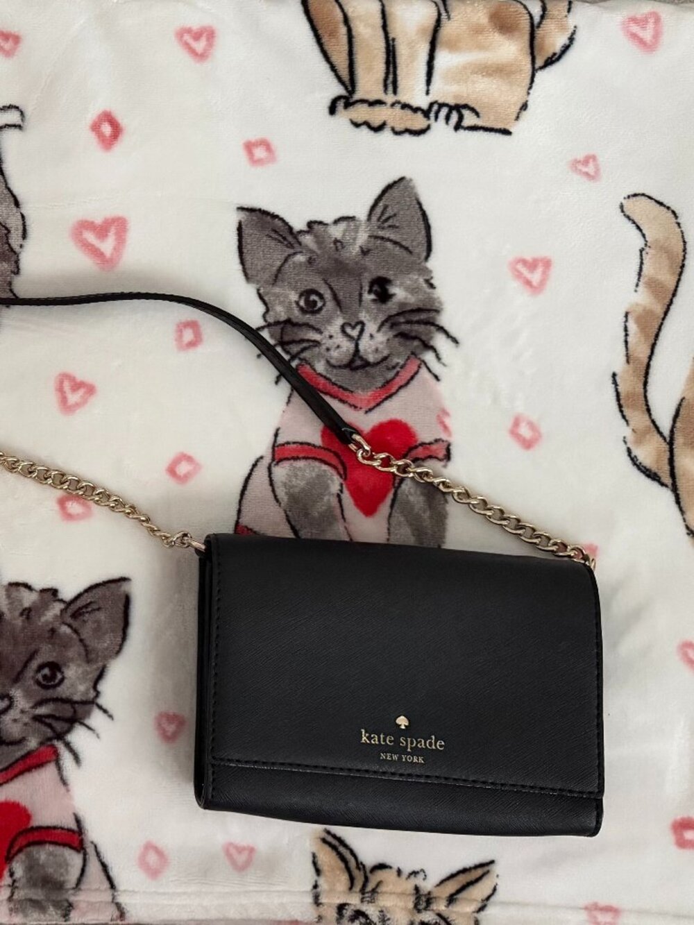 Kate Spade Crossbody - Picture 1 of 4